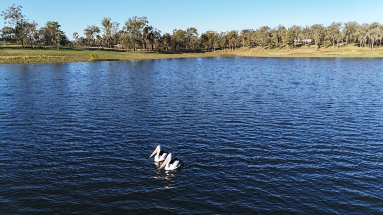 Join Us for Clean Up Australia Day